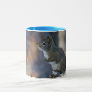 Caneca Esquilo de inverno, Animal marrom, fotografia cana