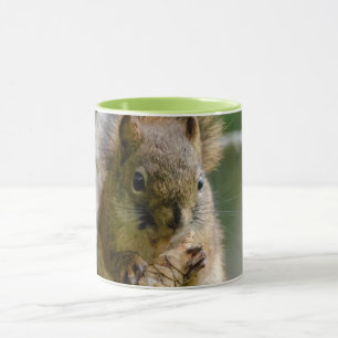 Caneca Esquilo Marrom em Alberta – Vida Selvagem da Flore