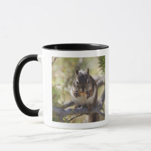 Caneca Esquilo que come um cone do pinho