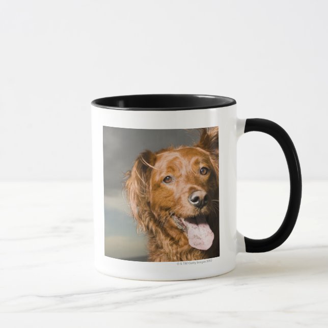 Caneca Este cão é retriever. dourado da parte (Direita)