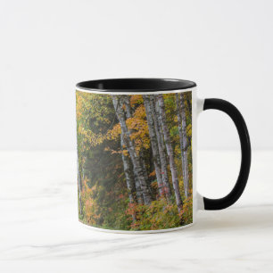 Caneca Estrada de Cascalho Coberta de Folhas com Cores de