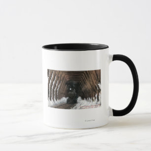 Caneca Estrada de ferro de Showsheds