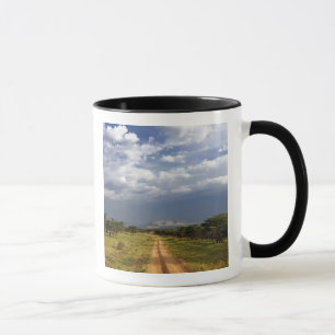 Caneca Estrada de terra primitiva através do norte