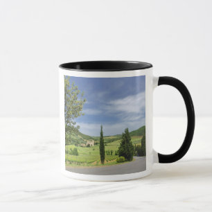 Caneca Estrada rural curvando entre ciprestes em
