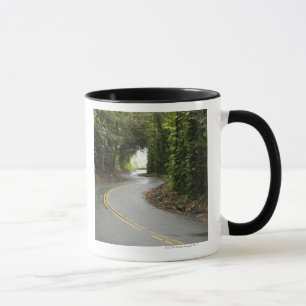 Caneca Estradas de enrolamento através da floresta