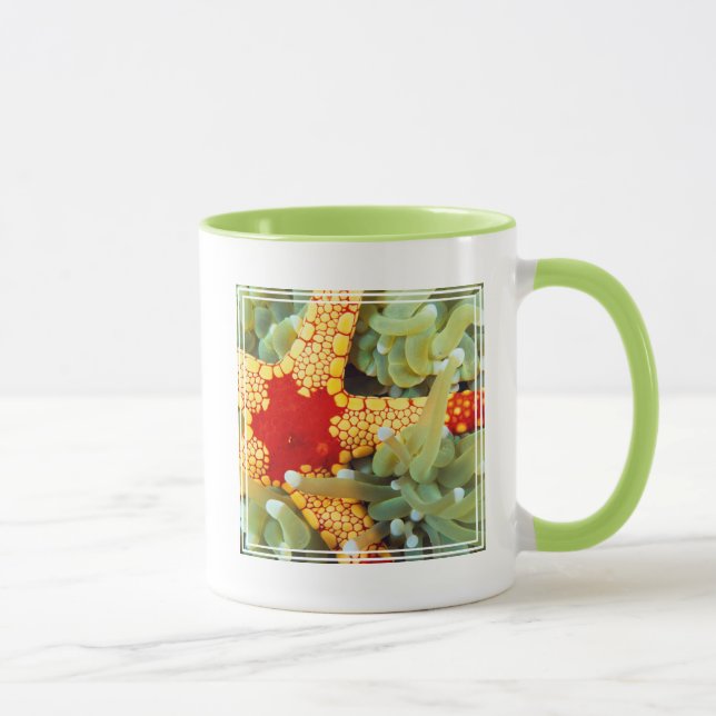 Caneca Estrela-do-Mar Amarela e Vermelha (Direita)