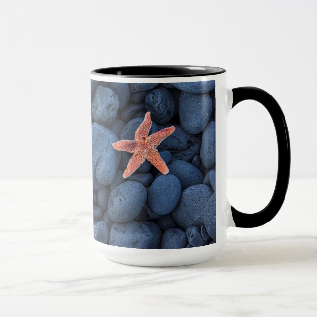 Caneca Estrela do mar em rochas pretas ao longo da costa (Direita)