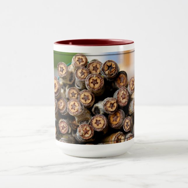 Caneca Estrelas ao longo das árvores de madeira de algodã (Centro)