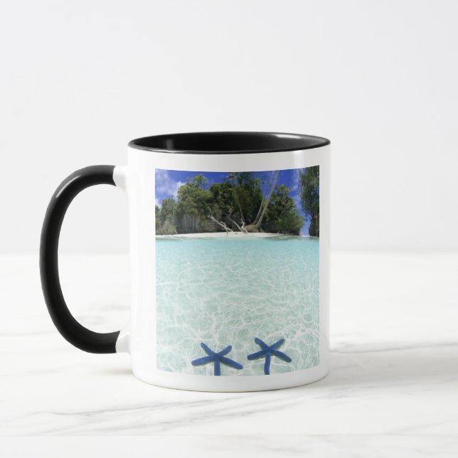 Caneca Estrelas-do-mar, Ilhas Rochosas, Palau (Esquerda)