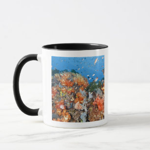 Caneca Estrutura saudável do recife, parque nacional de