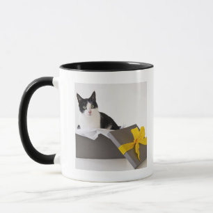 Caneca Estúdio disparado do gato preto e branco na caixa
