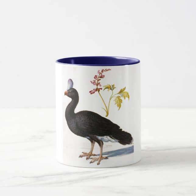 Caneca Estudo de um Curassow Capturado, Arcimboldo (Centro)