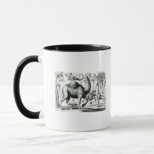 Caneca Estudo dos animais e das flores, gravado