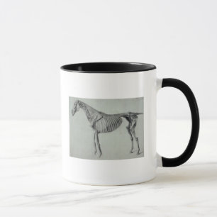 Caneca Estudo terminado   de George Stubbs para o quinto