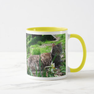 Caneca EU AMO Maine Coons