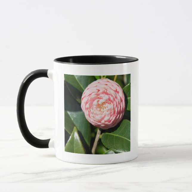 Caneca EUA, Alabama, Theodore perto de Mobile (Esquerda)