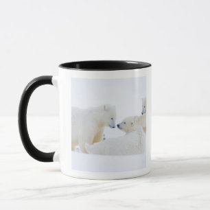 Caneca EUA, Alasca, 1002 Planície Costeira do Ártico