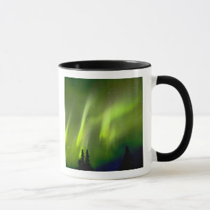 Caneca EUA, Alasca, Chena Hot Springs. Aurora 3