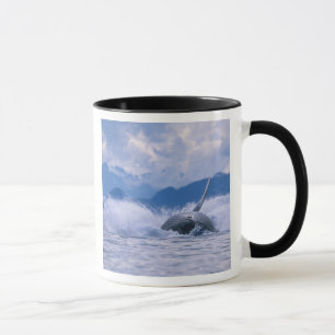 Caneca EUA, Alasca, Floresta Nacional Tongass, Jubarte