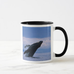 Caneca EUA, Alasca, Floresta Nacional Tongass, Jubarte