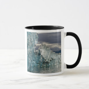 Caneca EUA, Alasca, Floresta Nacional Tongass, Tracy 3