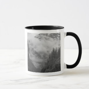 Caneca EUA, Alasca, Juneau, Floresta tropical cobre fiord