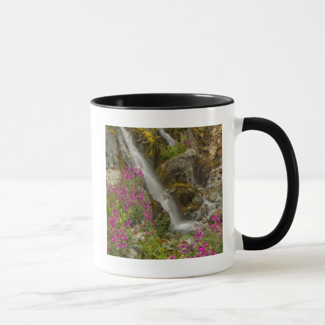 Caneca EUA, Alasca, Parque Nacional da Baía de Glacier. F (Direita)