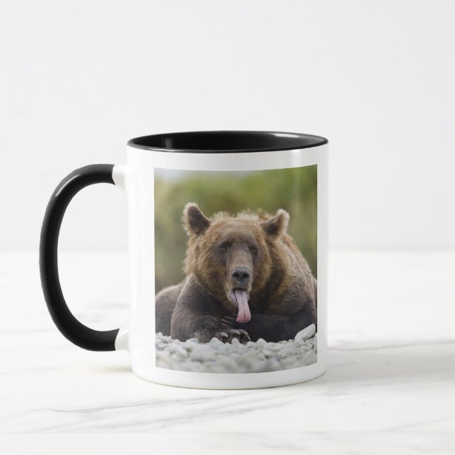 Caneca EUA, Alasca, Parque Nacional de Katmai, Baía de Ku (Esquerda)