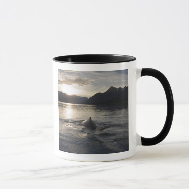 Caneca EUA, Alasca, Parque Nacional Glacier Bay, (Direita)