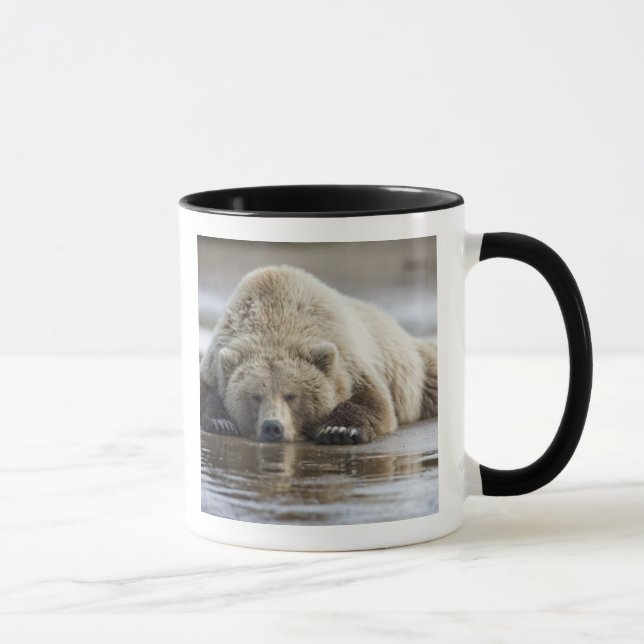 Caneca EUA, Alasca, Parque Nacional Katmai, Urso Pardo (Direita)