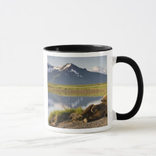Caneca EUA, Alasca, Parque Nacional Katmai, Ursos Castanh