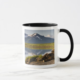 Caneca EUA, Alasca, Parque Nacional Katmai, Ursos Pardo