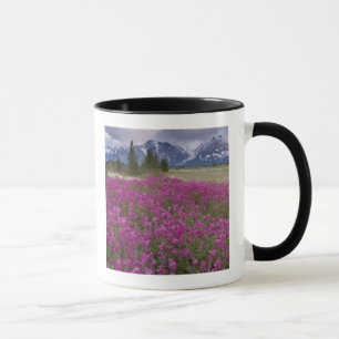 Caneca EUA, Alasca, Vale do Rio Alsek. Vista de