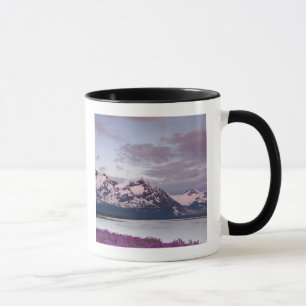 Caneca EUA, Alasca, Vale do Rio Alsek. Vista de Alsek