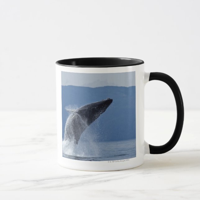 Caneca EUA, Alaska, Angoon, baleia de Humpback (Megaptera (Direita)