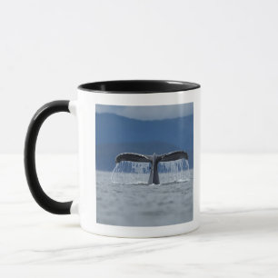Caneca EUA, Alaska, floresta nacional de Tongass,