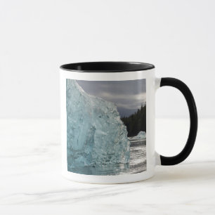 Caneca EUA, Alaska, Floresta Nacional Tongass, Tracy 2