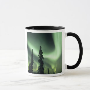 Caneca EUA, área de Fairbanks, Alasca Central, Aurora 2