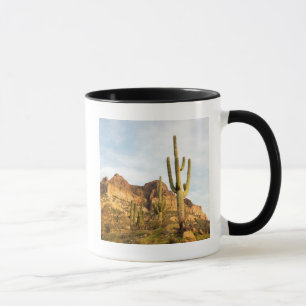 Caneca EUA, Arizona, Floresta Nacional Tonto, Picketpost