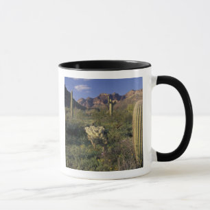 Caneca EUA, Arizona, Monumento Nacional Organ Pipe.