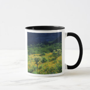 Caneca EUA, Arizona, Parque Nacional do Cacto Organ Pipe