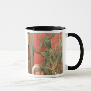 Caneca EUA, Arizona, Tucson: Distrito Histórico Presidio 