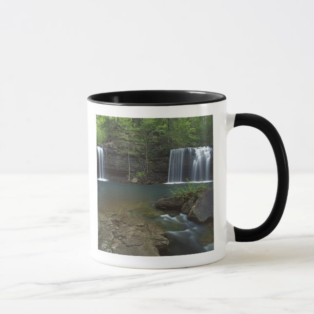 Caneca EUA, Arkansas, Ozark- St Francis Nacional (Direita)