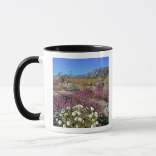 Caneca EUA, Califórnia, Anza-Borrego DSP. Noite de duna