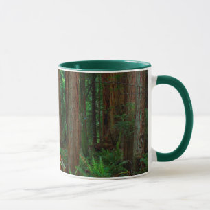 Caneca EUA, Califórnia. Caminho Entre Sequoias De Muir