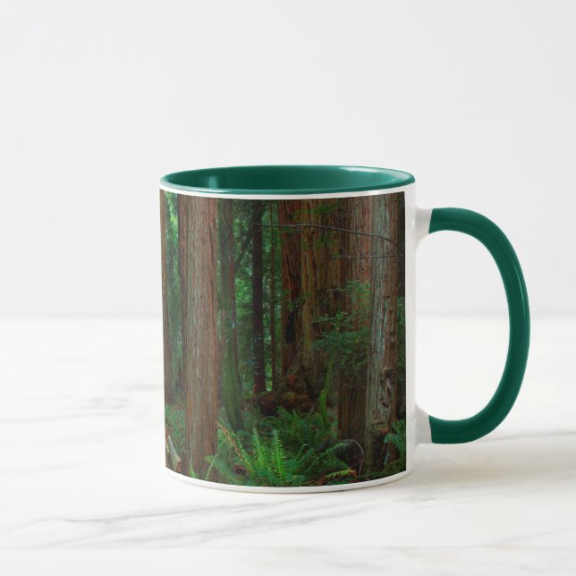Caneca EUA, Califórnia. Caminho Entre Sequoias De Muir (Direita)
