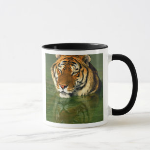 Caneca EUA, Califórnia, Condado de Los Angeles. Bengala