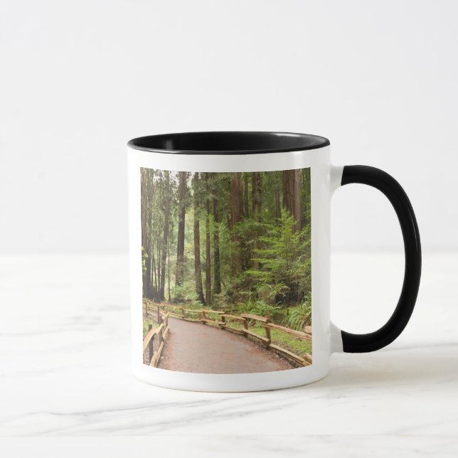 Caneca EUA, Califórnia, Condado de Marin, Muir Woods (Direita)
