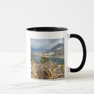 Caneca EUA, Califórnia, Floresta Nacional de Inyo.