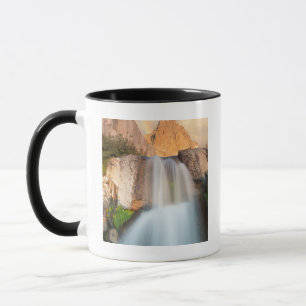 Caneca EUA, Califórnia, Floresta Nacional de Inyo. Cachoe